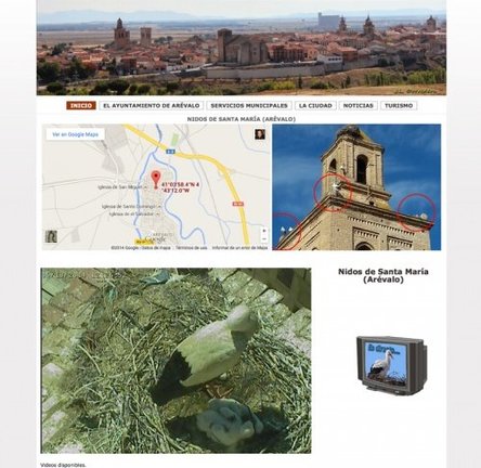 Cigüenas en el campanario de Santa María - Captura de pantalla: Web Turismo Arévalo