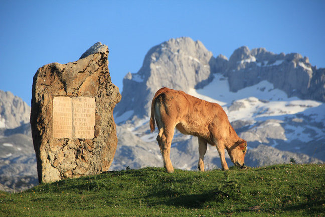 turismo-sostenible-asturias-lagos-covadonga