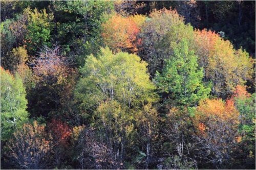 Los colores del otoño en el valle del Bierzo