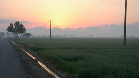 Amanecer en los arrozales del Delta del Ebro - Foto: Pepo Paz Saz