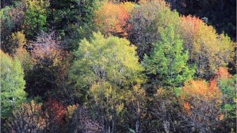 Los colores del otoño en el valle del Bierzo