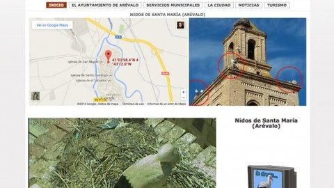 Cigüenas en el campanario de Santa María - Captura de pantalla: Web Turismo Arévalo